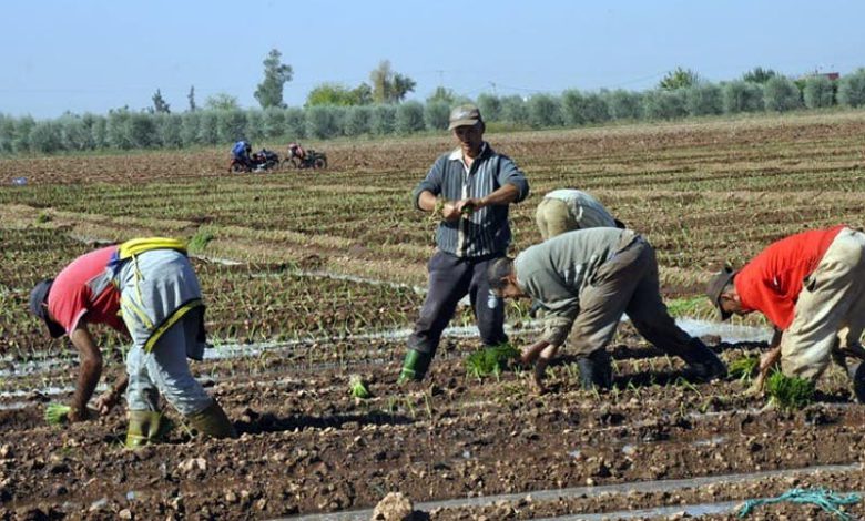 غياب التساقطات المطرية يعقد وضعية الفلاحين بجهة فاس مكناس (فيديو)