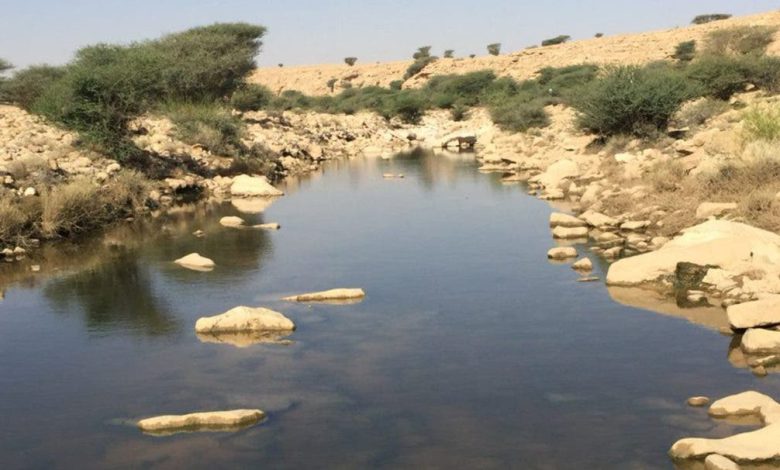 الرشيدية.. ساكنة قصر أتوروك في مواجهة معضلة المياه الراكدة